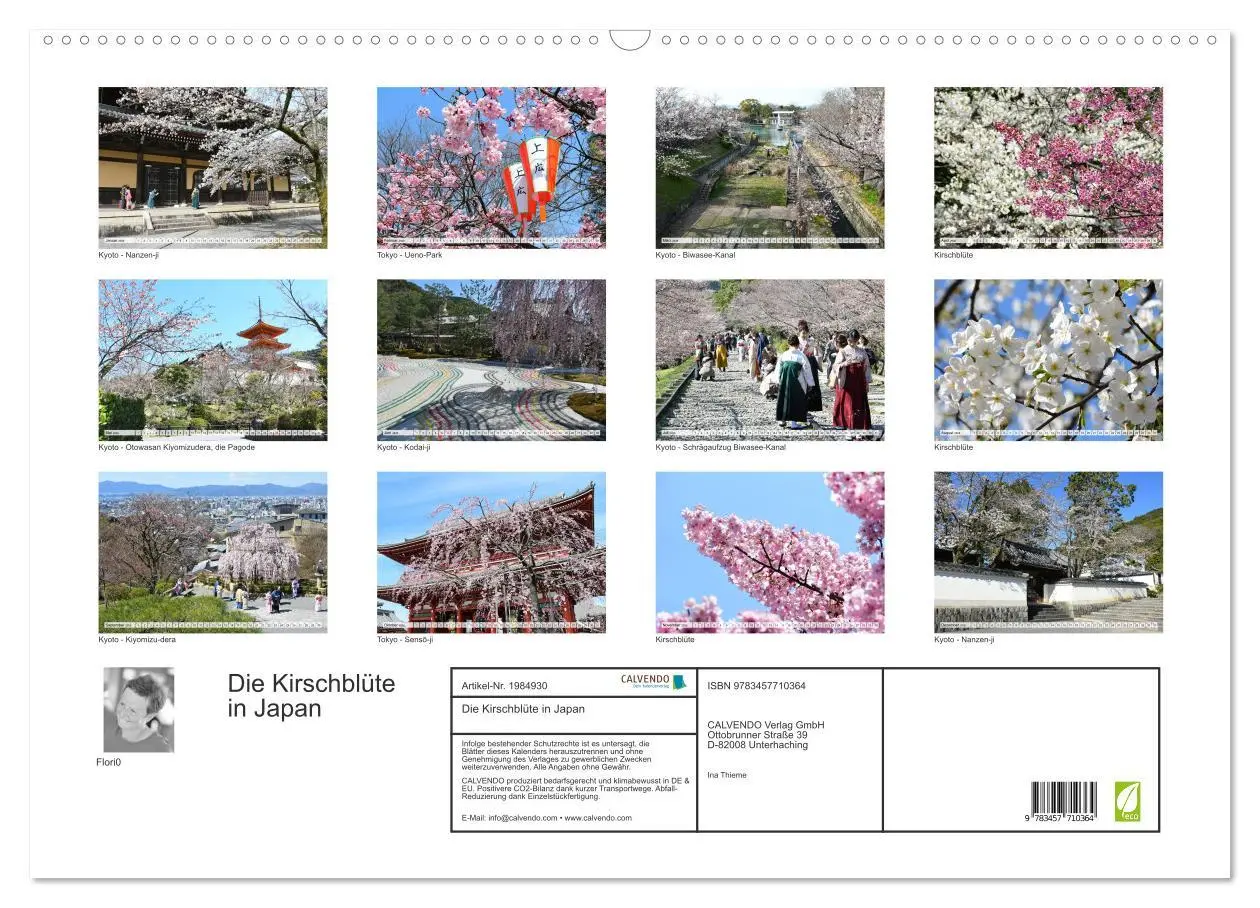 Bild: 9783457710364 | Die Kirschblüte in Japan (Wandkalender 2026 DIN A2 quer), CALVENDO...