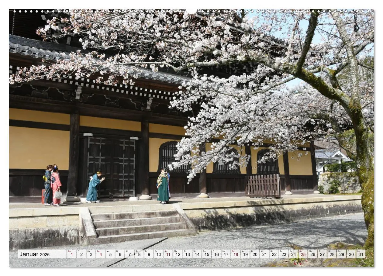 Bild: 9783457710364 | Die Kirschblüte in Japan (Wandkalender 2026 DIN A2 quer), CALVENDO...