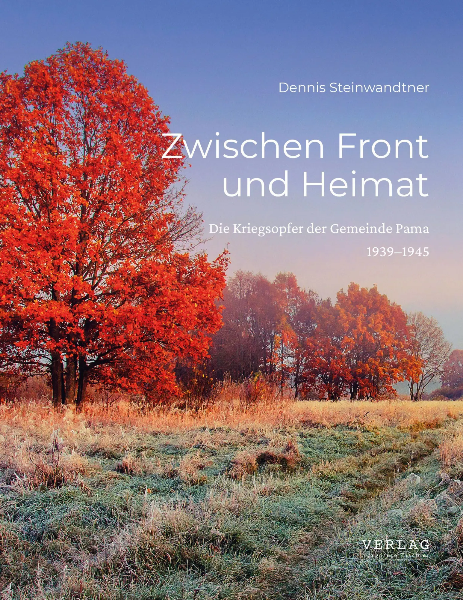 Cover: 9783903370364 | Zwischen Front und Heimat | Dennis Steinwandtner | Buch | Deutsch