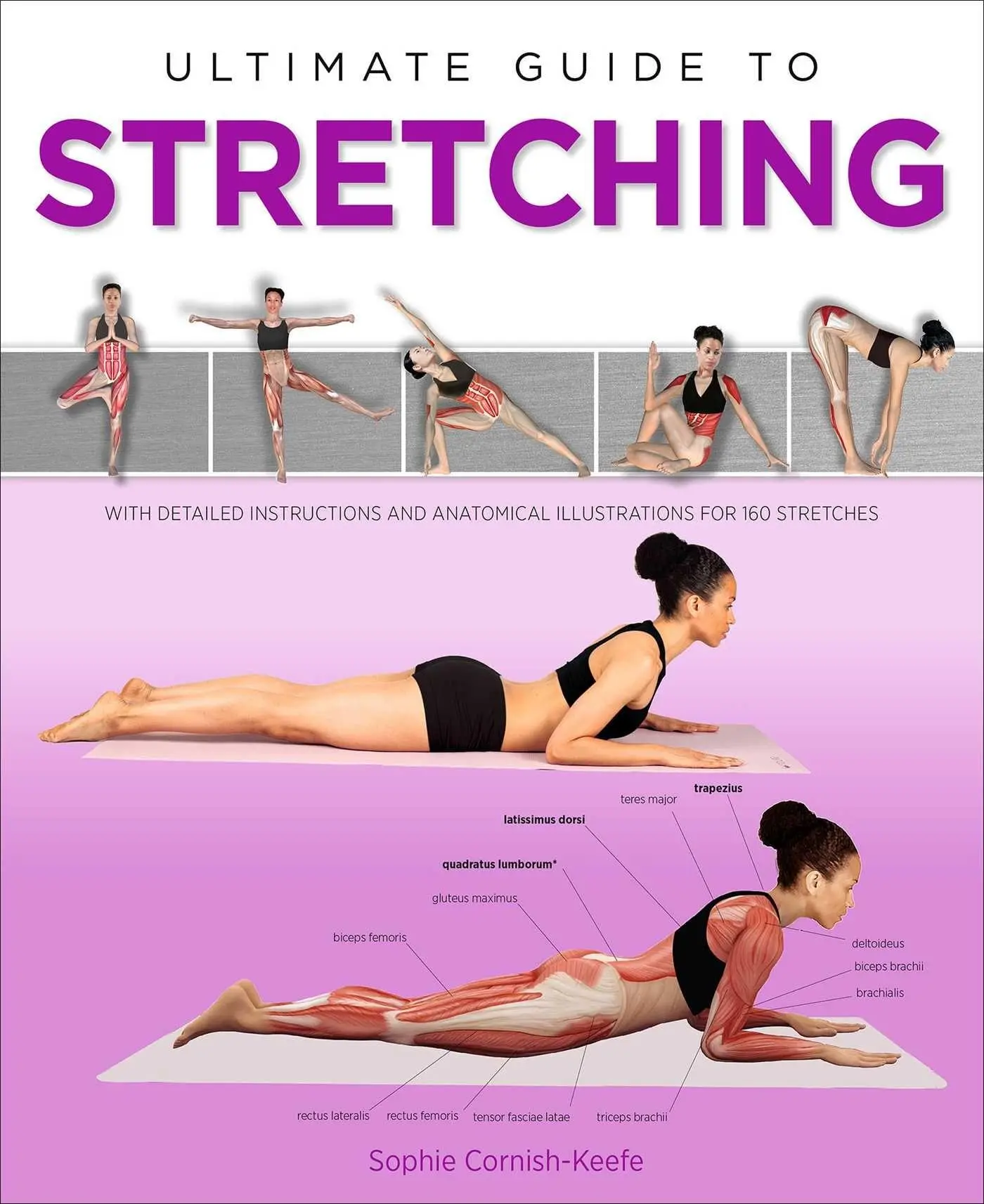 Cover: 9781645170464 | Ultimate Guide to Stretching | Sophie Cornish-Keefe | Taschenbuch