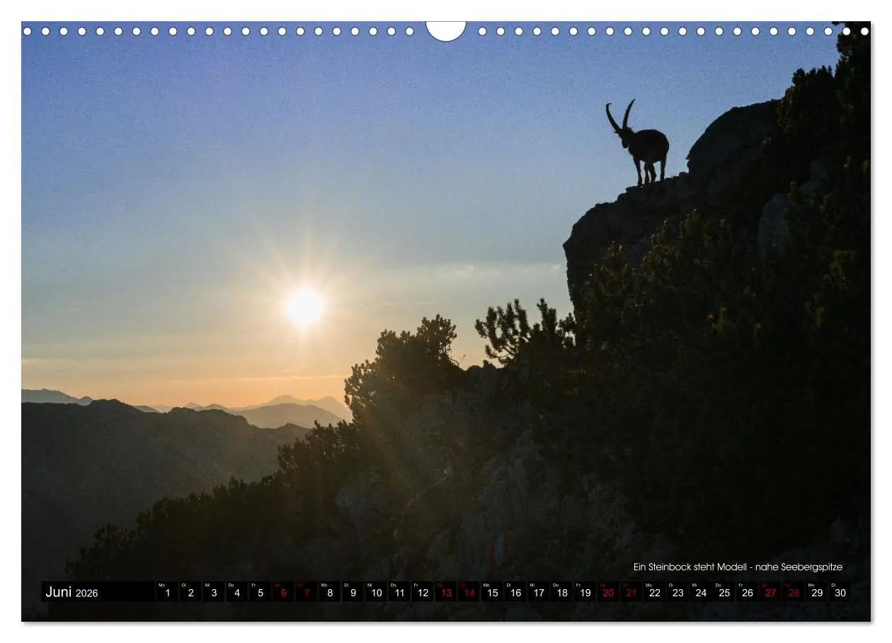 Bild: 9783457560464 | Magisches Licht der Berge (Wandkalender 2026 DIN A3 quer), CALVENDO...