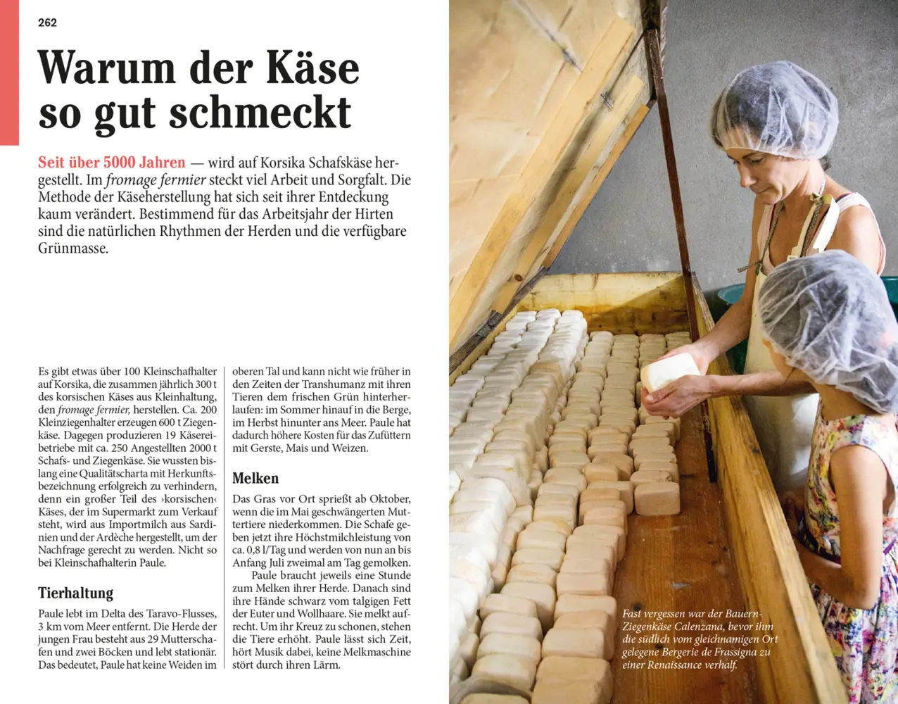Bild: 9783616020464 | DUMONT Reise-Taschenbuch Reiseführer Korsika | Hans-Jürgen Siemsen