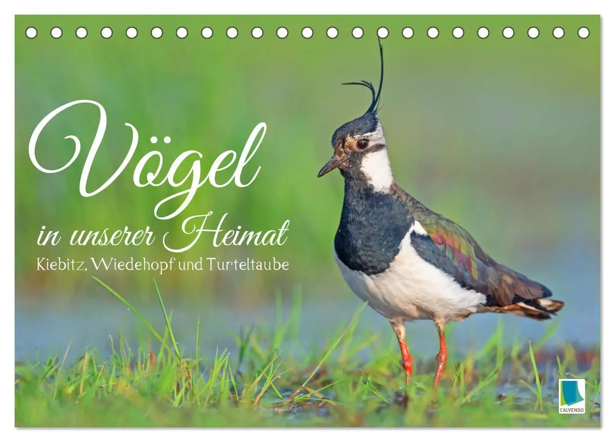Cover: 9783457480564 | Vögel in unserer Heimat: Kiebitz, Wiedehopf und Turteltaube...