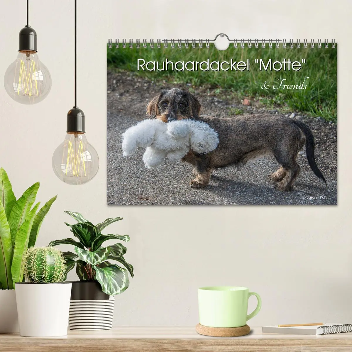 Bild: 9783457930564 | Rauhaardackel Motte &amp; Friends (Wandkalender 2026 DIN A4 quer),...