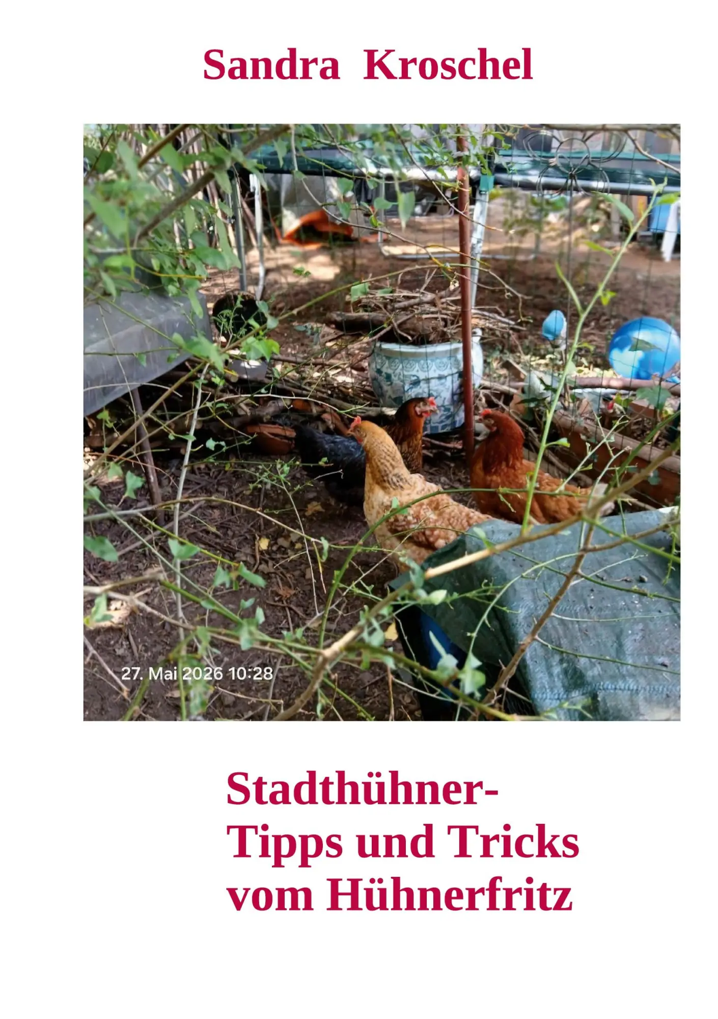 Cover: 9783696380564 | Stadthühner- Tipps und Tricks vom Hühnerfritz | Sandra Kroschel | Buch