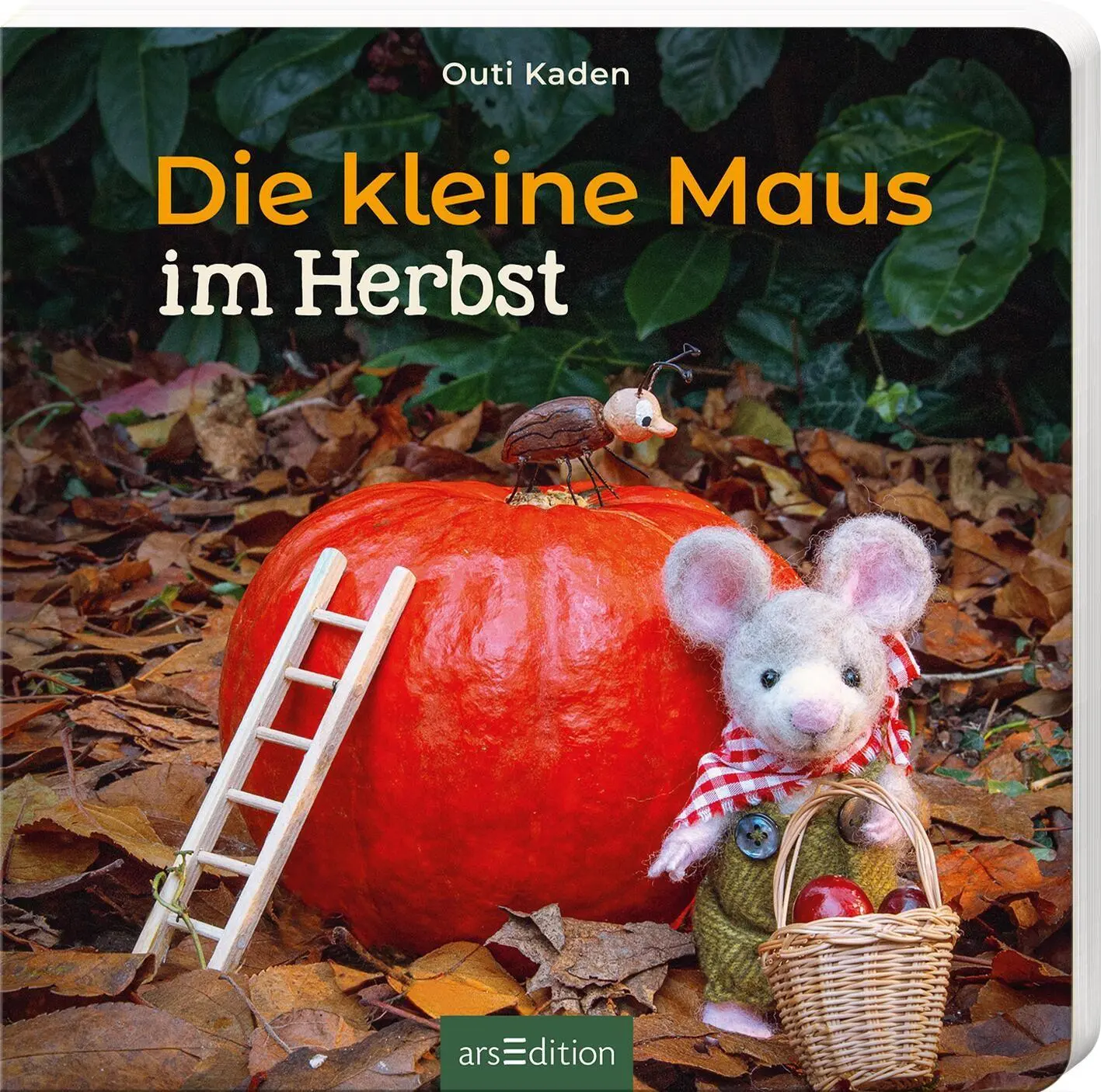 Cover: 9783845870564 | Die kleine Maus im Herbst | Outi Kaden | Buch | 18 S. | Deutsch | 2026