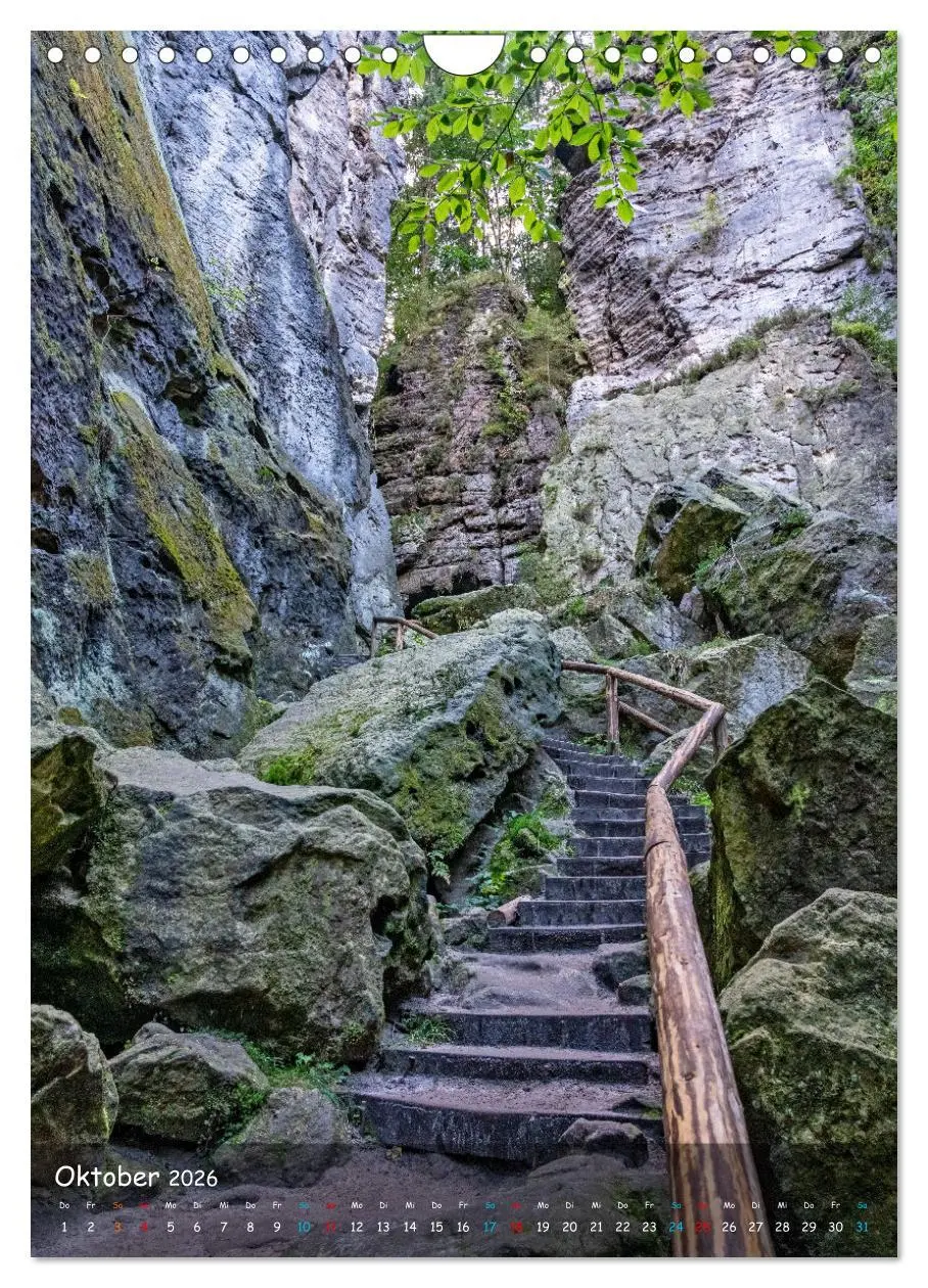 Bild: 9783516250664 | Höhepunkte der Sächsischen Schweiz (Wandkalender 2026 DIN A4 hoch),...