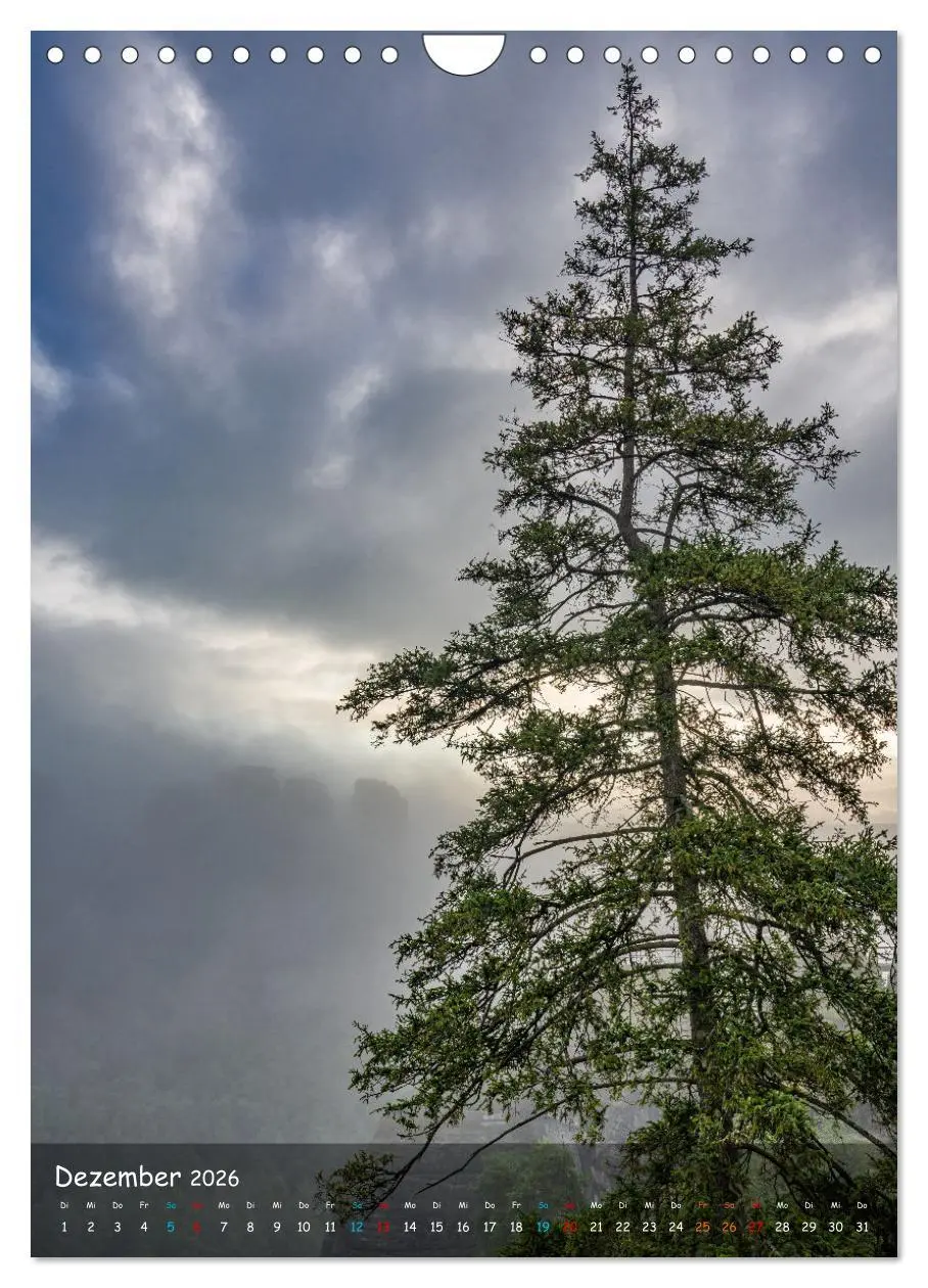 Bild: 9783516250664 | Höhepunkte der Sächsischen Schweiz (Wandkalender 2026 DIN A4 hoch),...