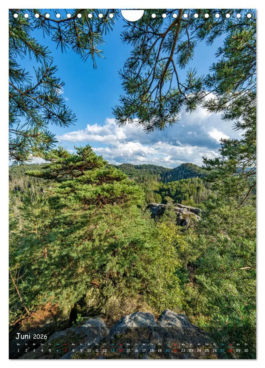 Bild: 9783516250664 | Höhepunkte der Sächsischen Schweiz (Wandkalender 2026 DIN A4 hoch),...
