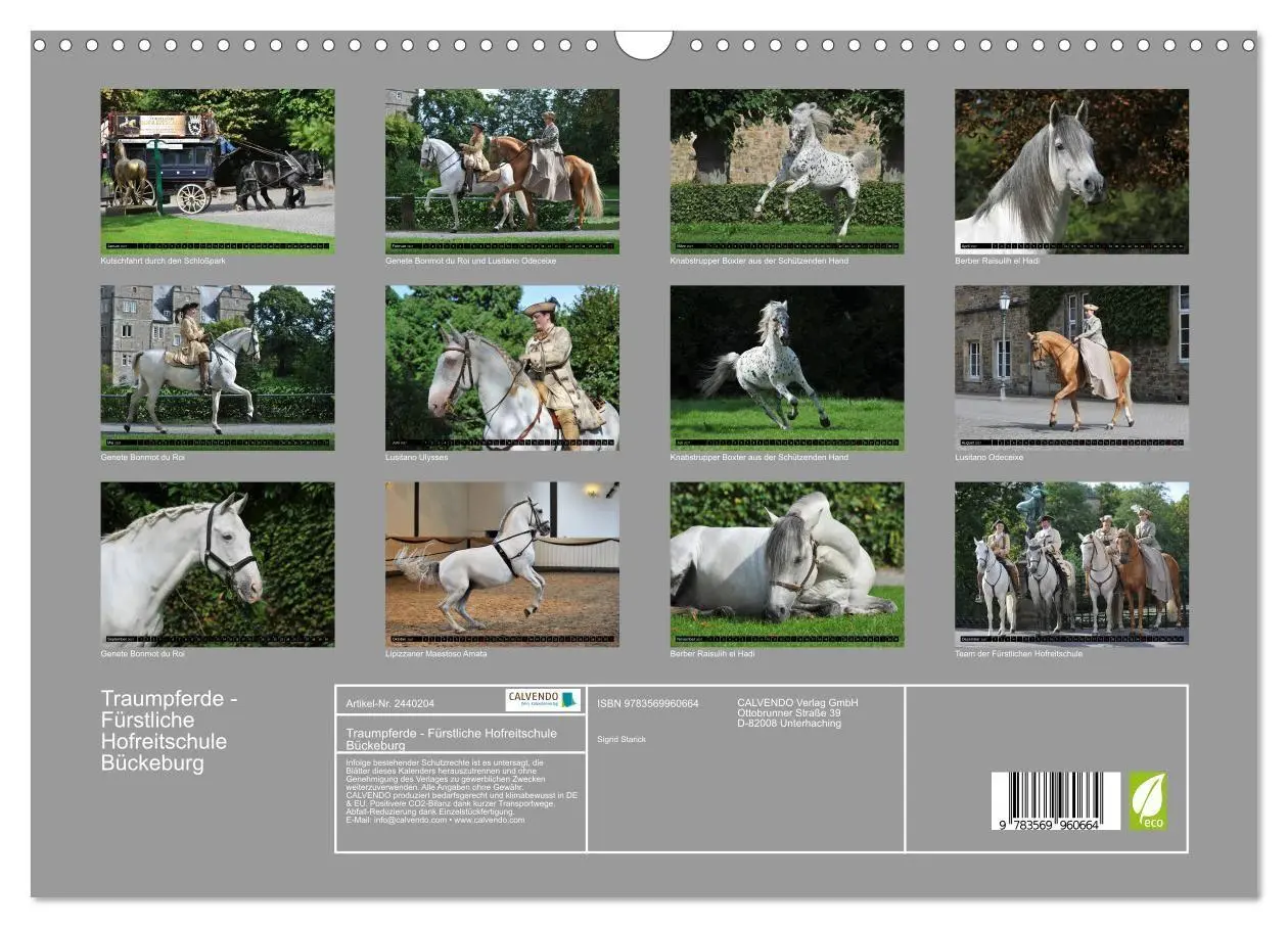 Bild: 9783569960664 | Traumpferde - Fürstliche Hofreitschule Bückeburg (Wandkalender 2027...
