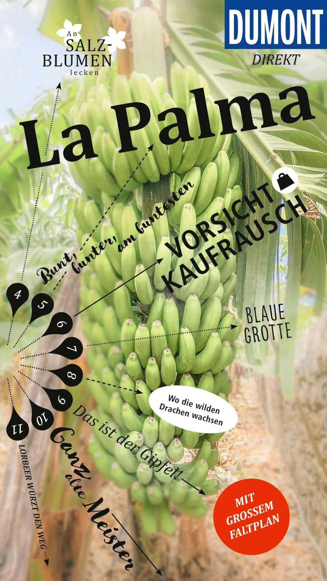Cover: 9783616000664 | DUMONT direkt Reiseführer La Palma | Mit großem Faltplan | Schulze