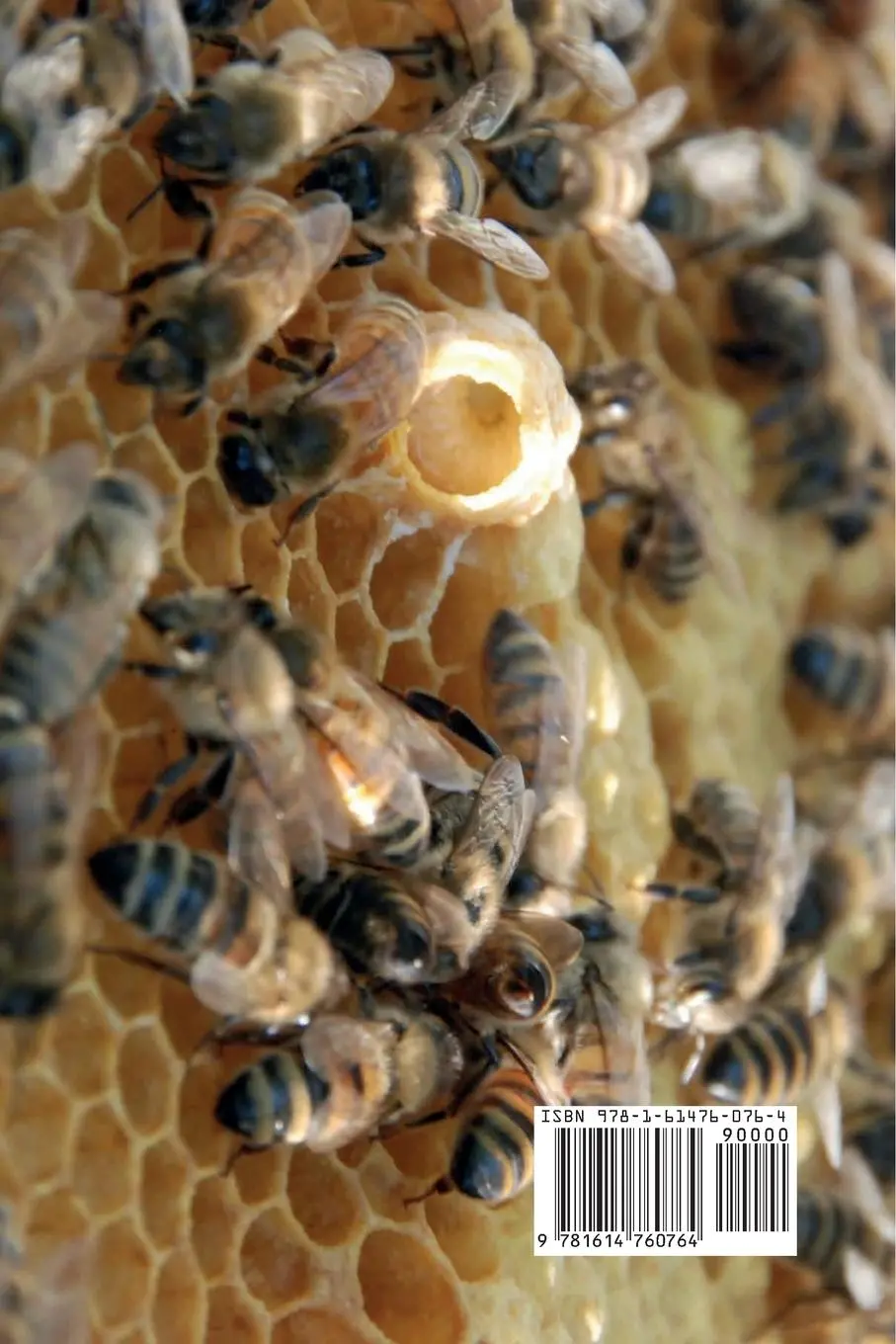 Rückseite: 9781614760764 | The Practical Queen Breeder | Beekeeping Naturally | Michael Bush