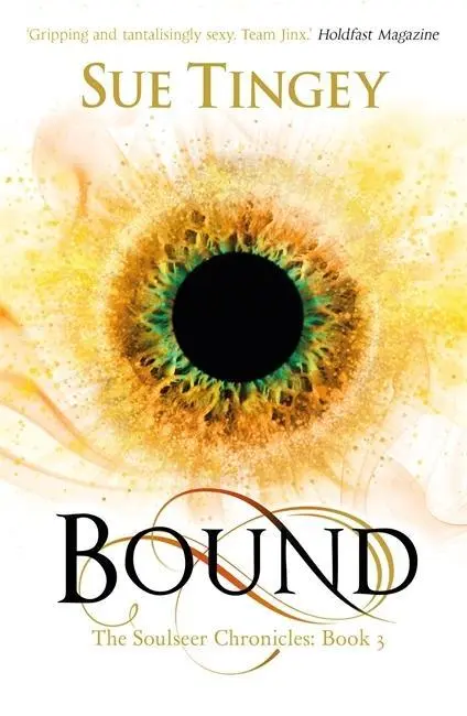 Cover: 9781784290764 | Bound | The Soulseer Chronicles Book 3 | Sue Tingey | Taschenbuch