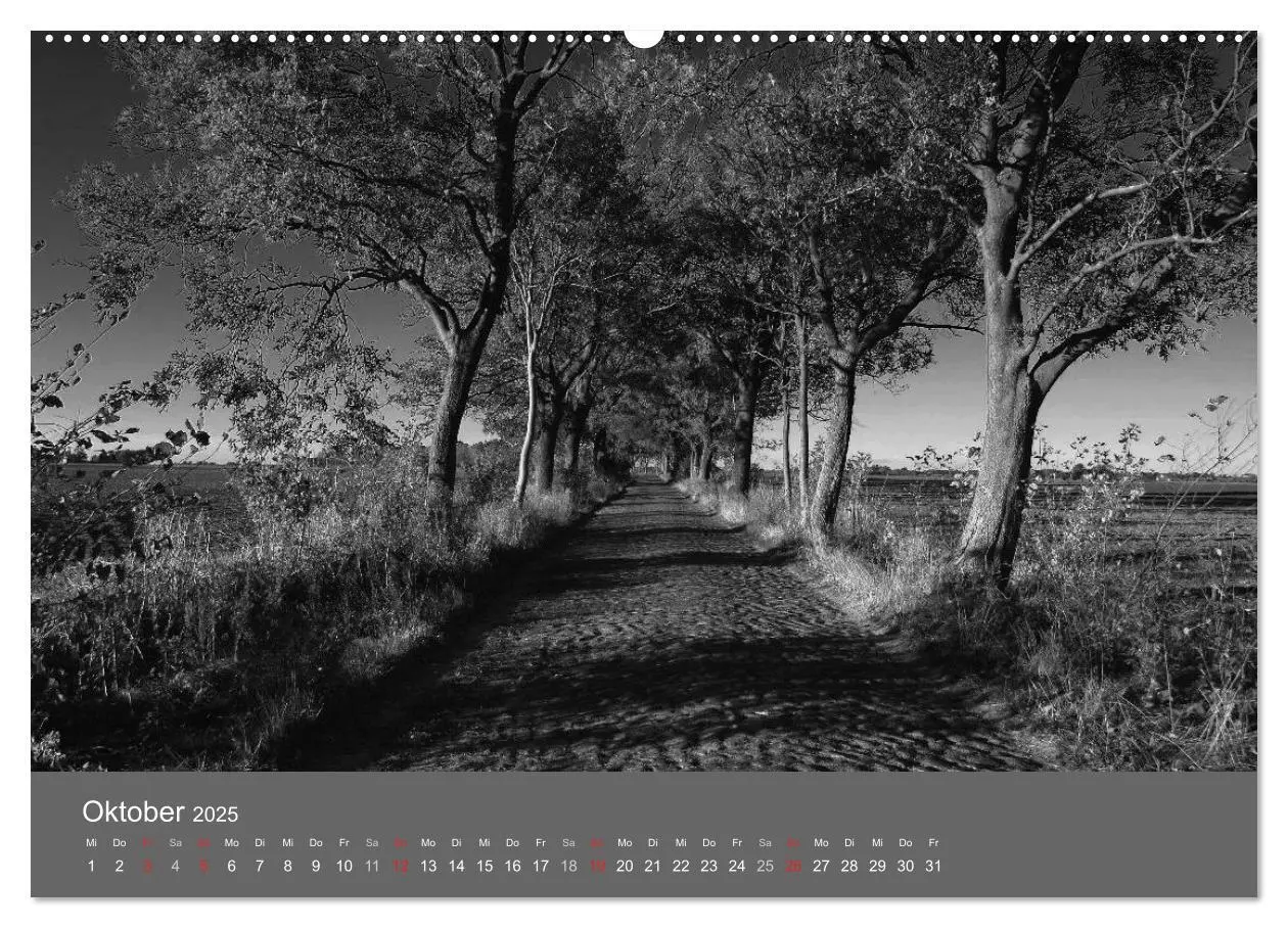 Bild: 9783435820764 | Ostsee - von schwarz bis weiß (Wandkalender 2025 DIN A2 quer),...