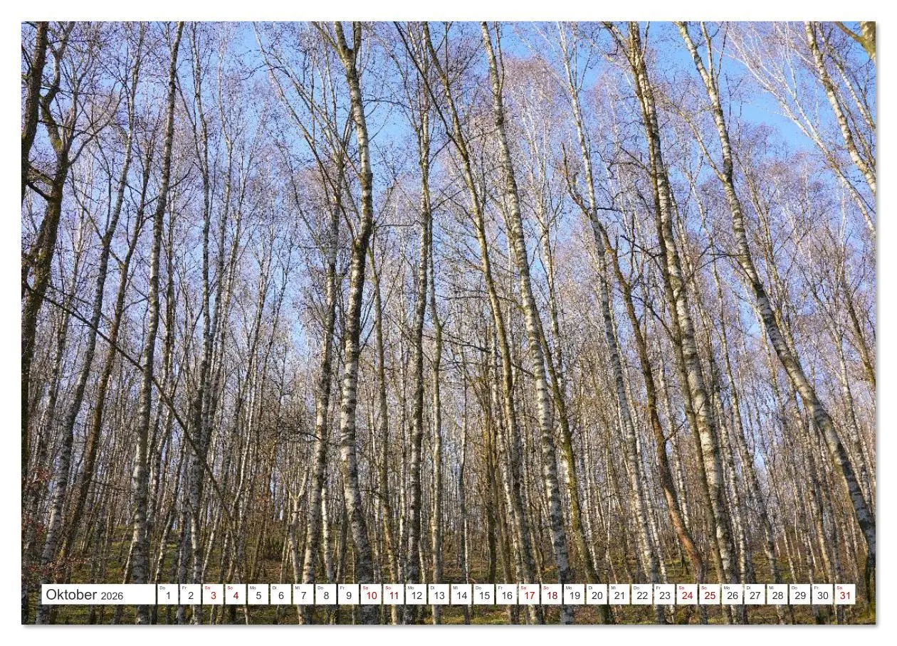 Bild: 9783516620764 | Herdorf im Hellertal (Wandkalender 2026 DIN A2 quer), CALVENDO...