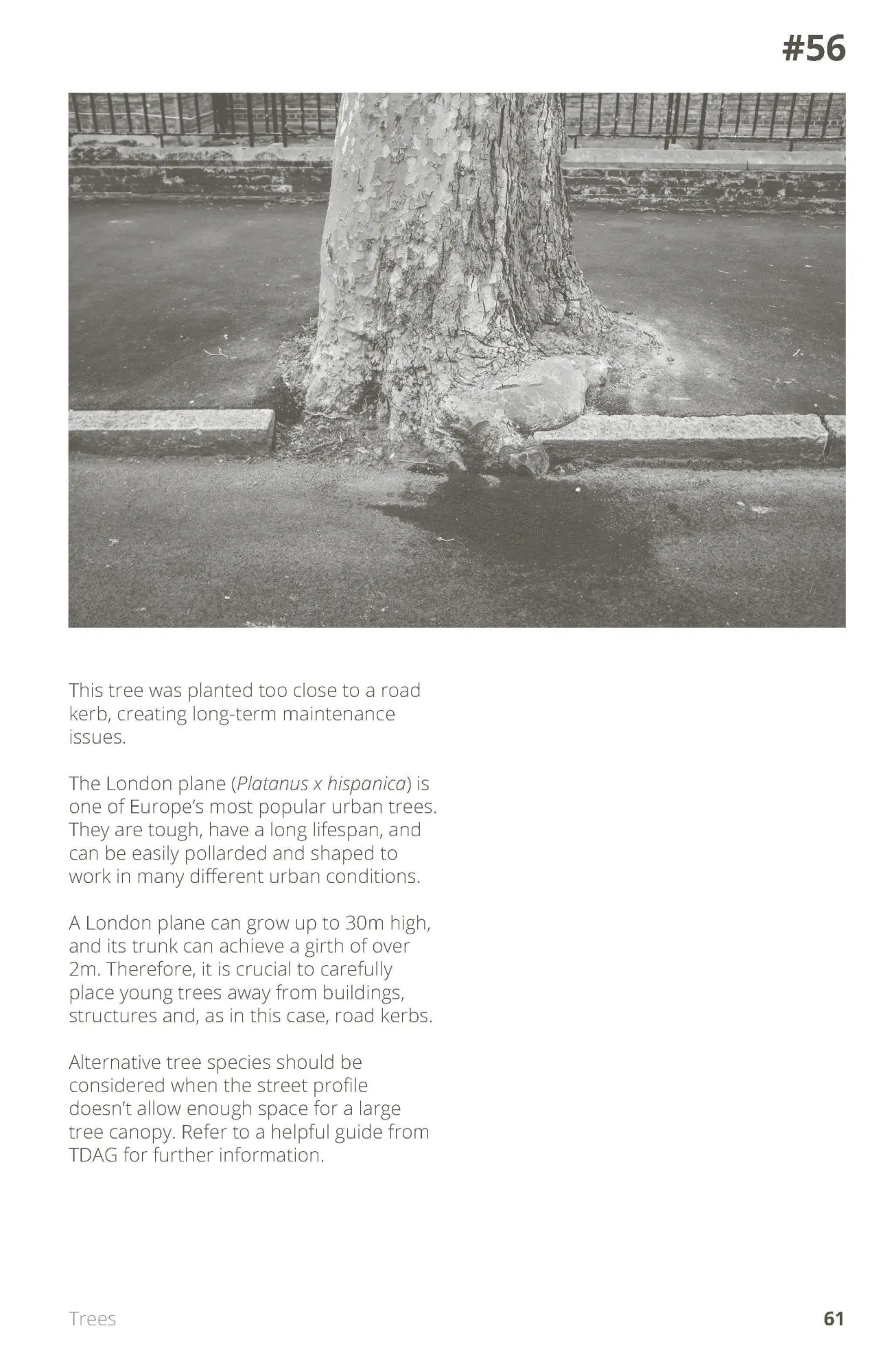 Bild: 9783986120764 | Sh*tscapes | 100 Mistakes in Landscape Architecture | Guculak (u. a.)