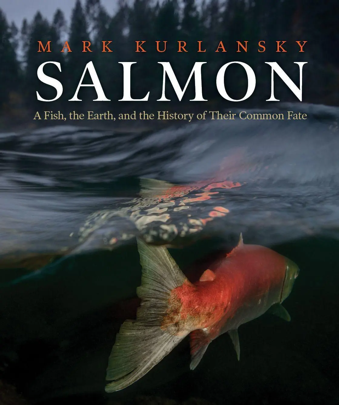 Cover: 9781938340864 | Salmon: A Fish, the Earth, and the History of Their Common Fate | Buch