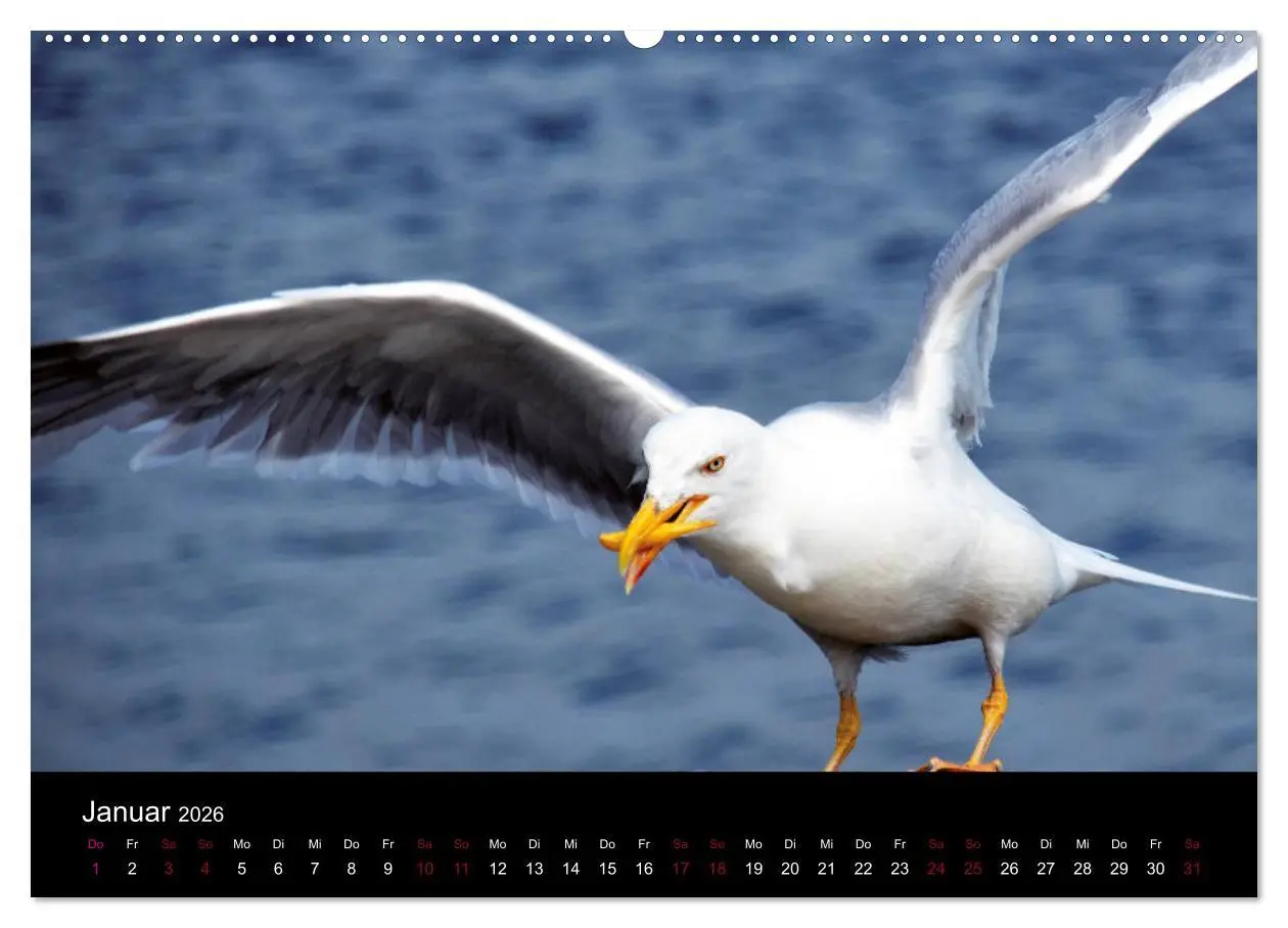 Bild: 9783457830864 | Segelsommer - Dänische Südsee (Wandkalender 2026 DIN A2 quer),...