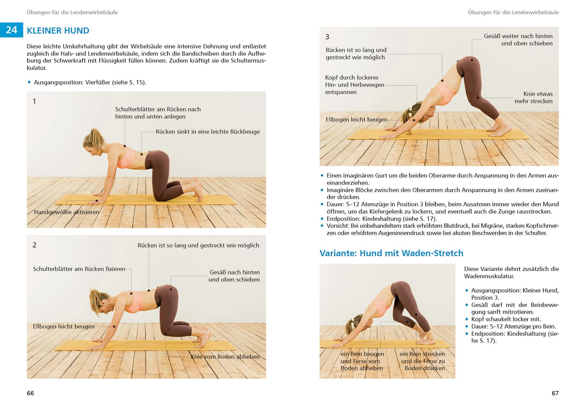 Bild: 9783763360864 | Yoga für Kletterer und Bergsportler | Petra Zink | Buch | 166 S.