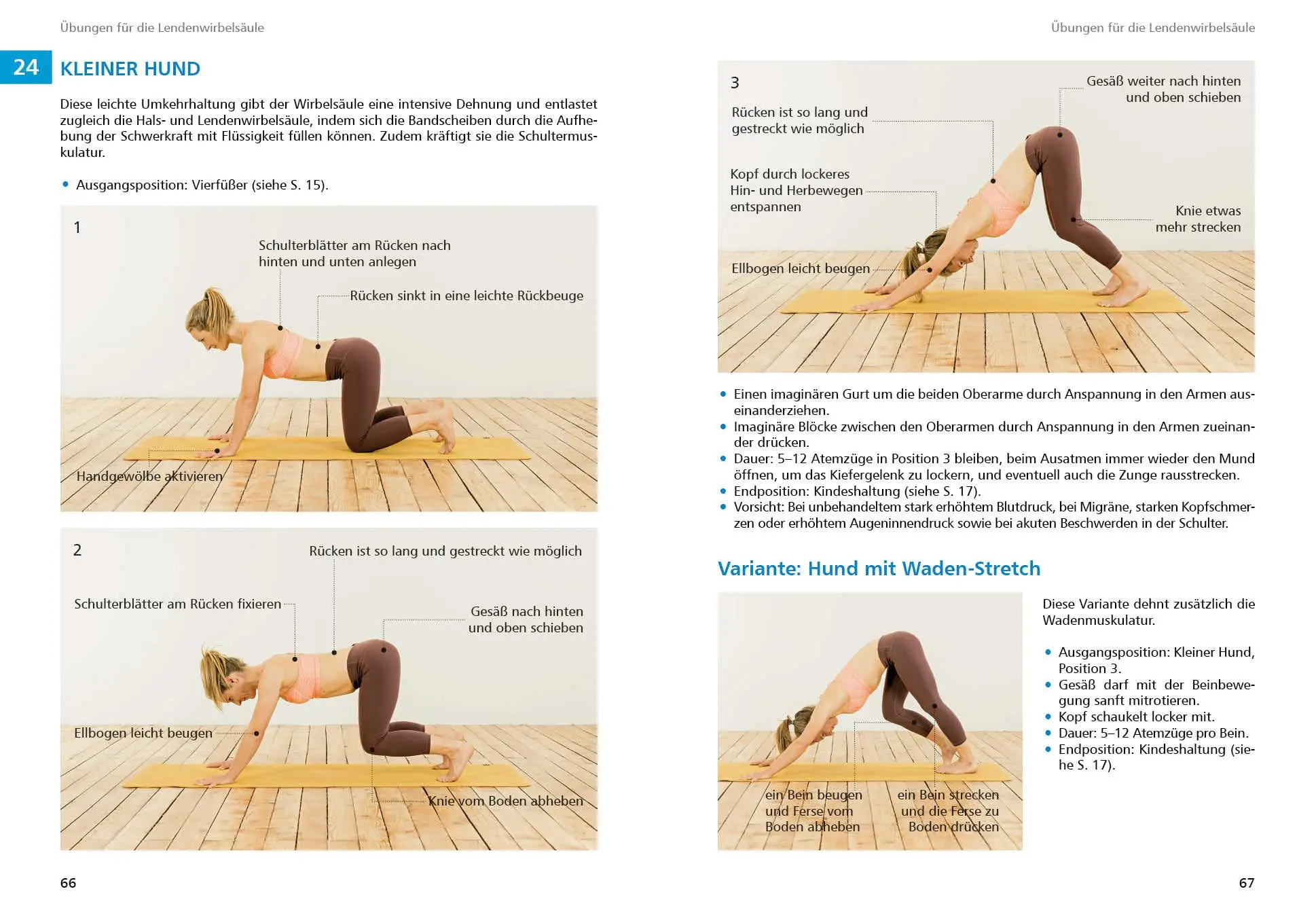 Bild: 9783763360864 | Yoga für Kletterer und Bergsportler | Petra Zink | Buch | 166 S.