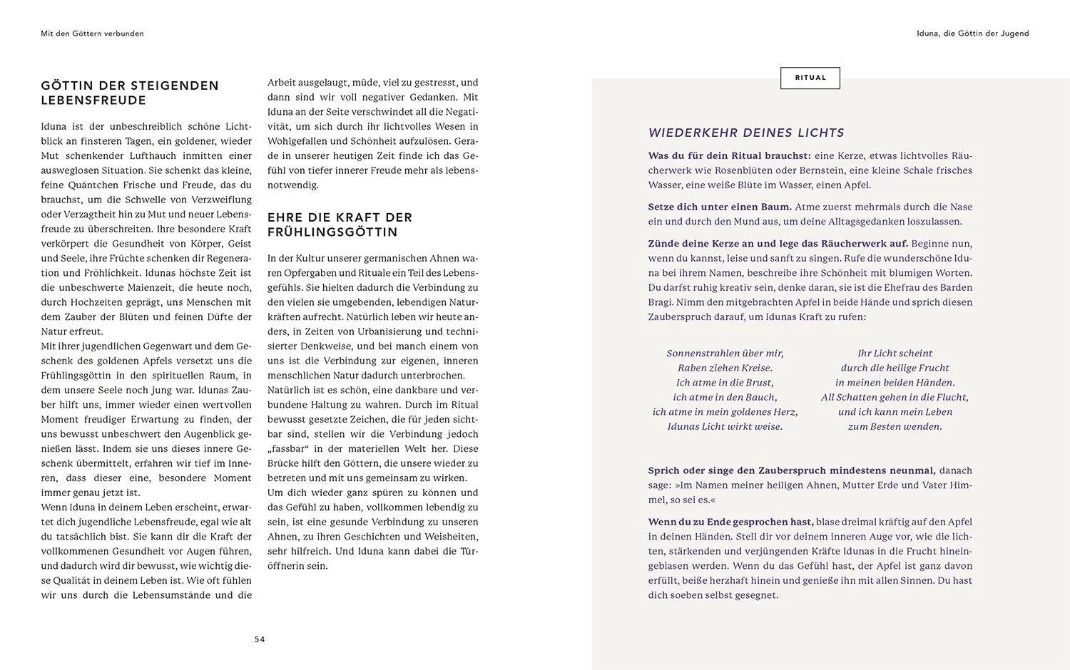Bild: 9783968600864 | Mit den germanischen Göttern verbunden | Susanne Krämer (u. a.) | Buch