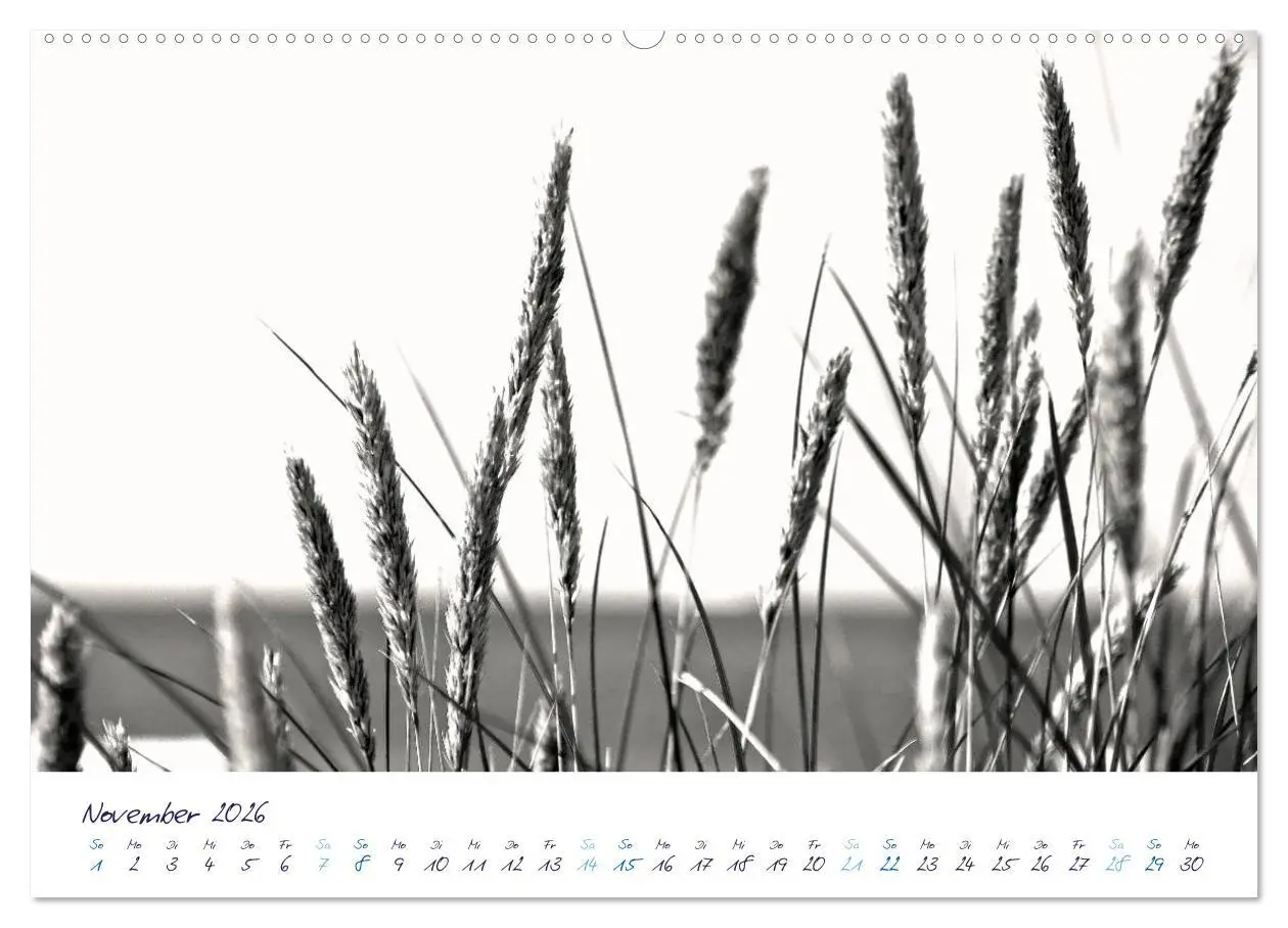 Bild: 9783516220964 | Meeresbilder - Nordsee-Impressionen (hochwertiger Premium...