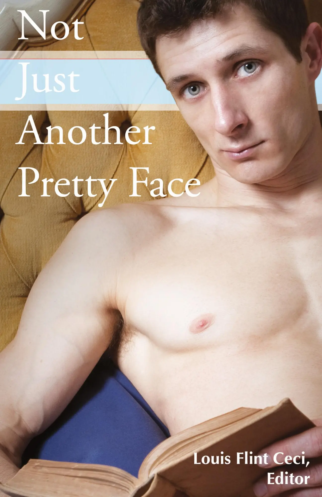 Cover: 9780970831064 | Not Just Another Pretty Face | Louis Flint Ceci | Taschenbuch | 2016