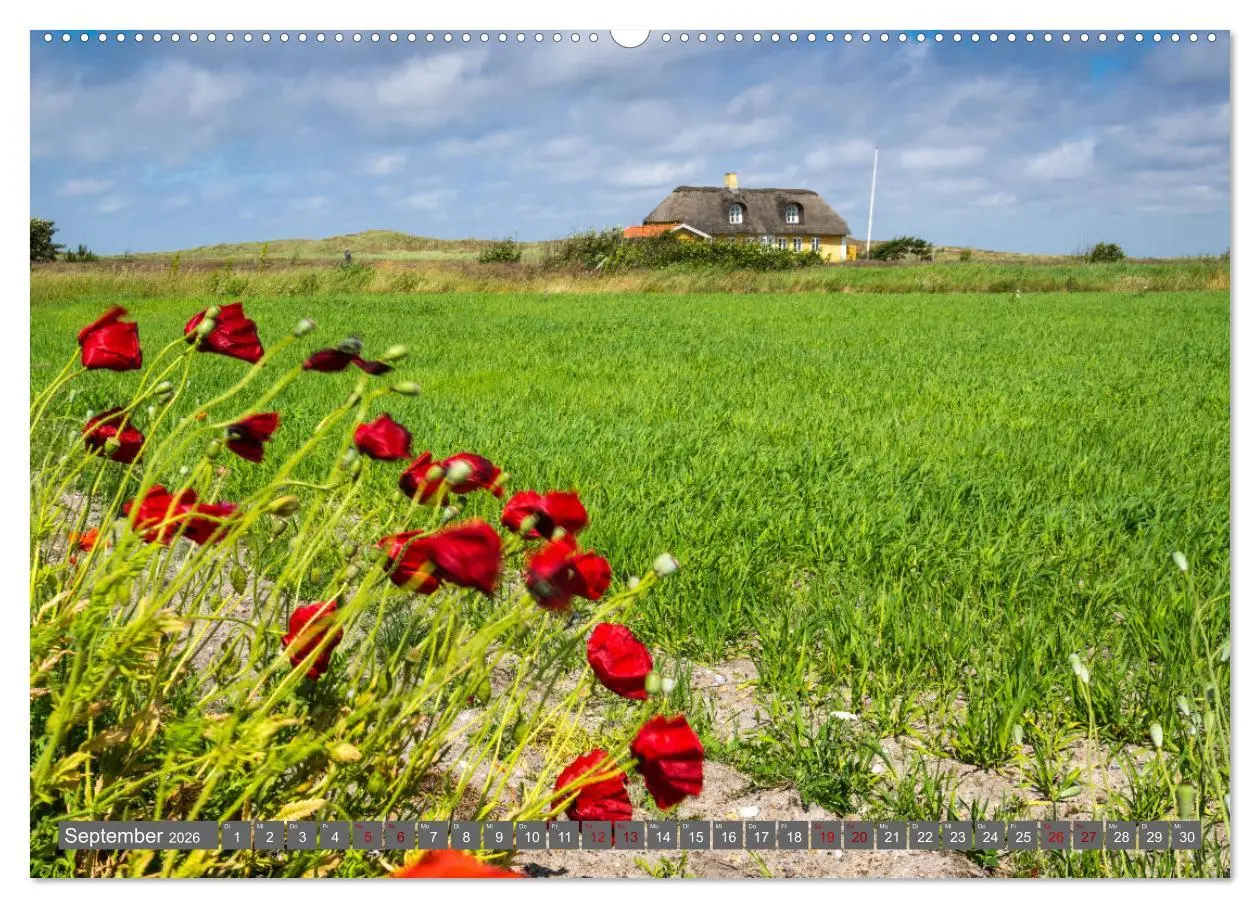 Bild: 9783457881064 | Dänemark - Die wunderschöne Westküste (Wandkalender 2026 DIN A2...