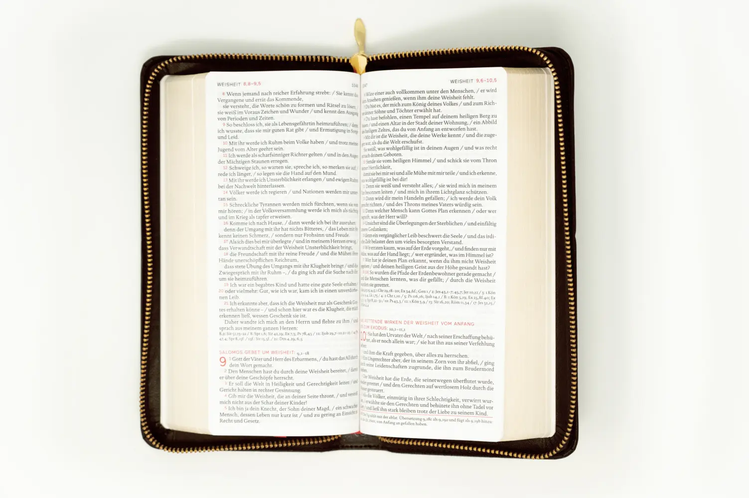 Bild: 9783460441064 | Die Bibel | Einheitsübersetzung | Österreichs Bischöfe Deutschlands