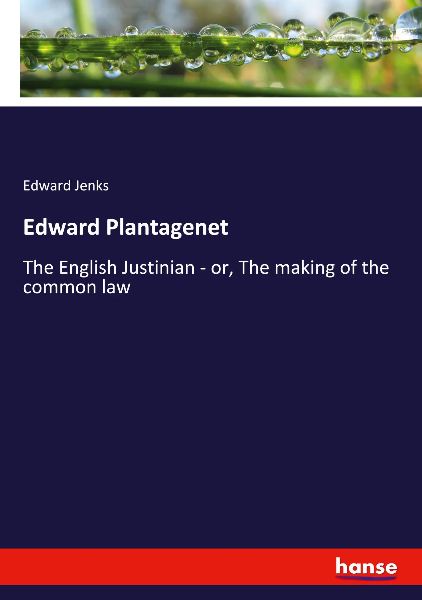 Edward Plantagenet: The English Justinian - or, The making of the common law