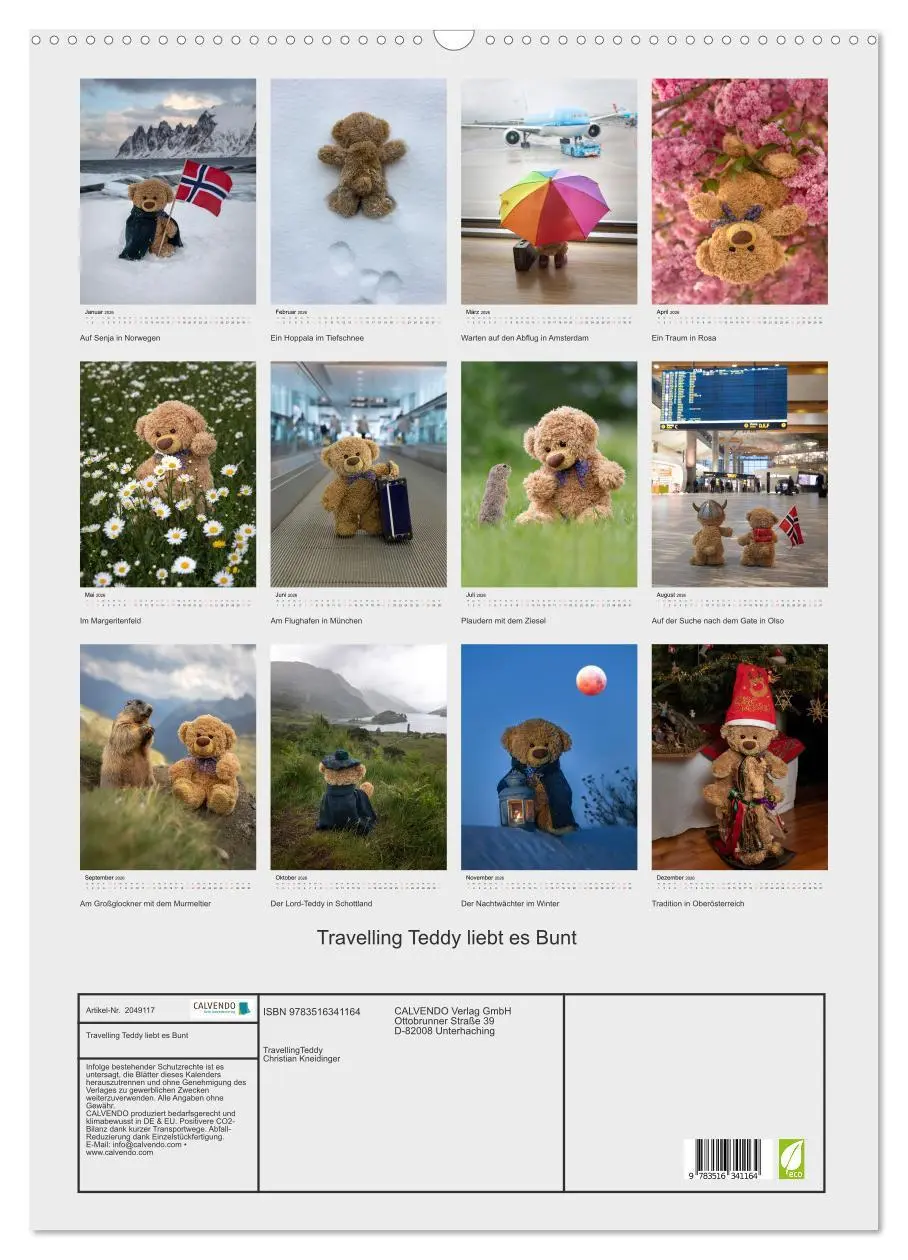 Bild: 9783516341164 | Travelling Teddy liebt es Bunt (Wandkalender 2026 DIN A2 hoch),...