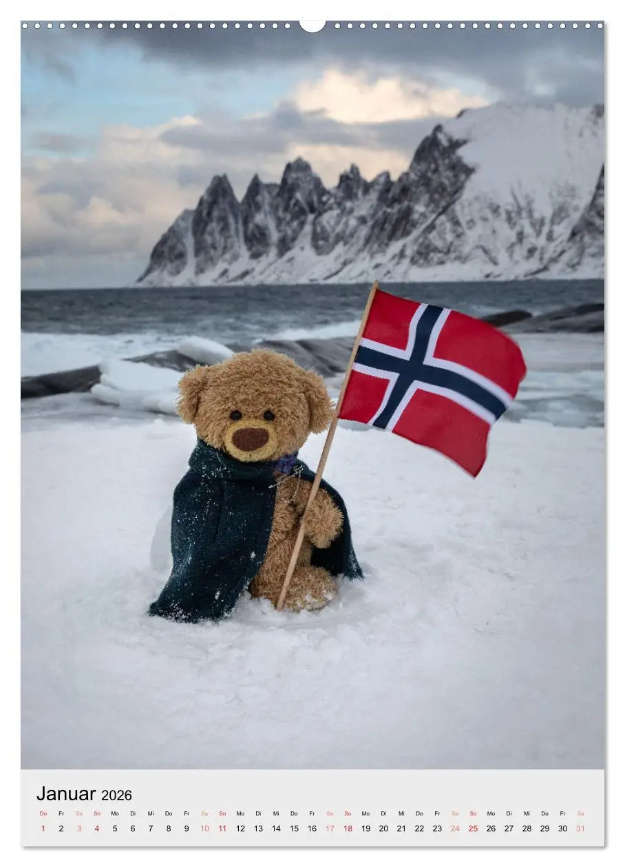 Bild: 9783516341164 | Travelling Teddy liebt es Bunt (Wandkalender 2026 DIN A2 hoch),...