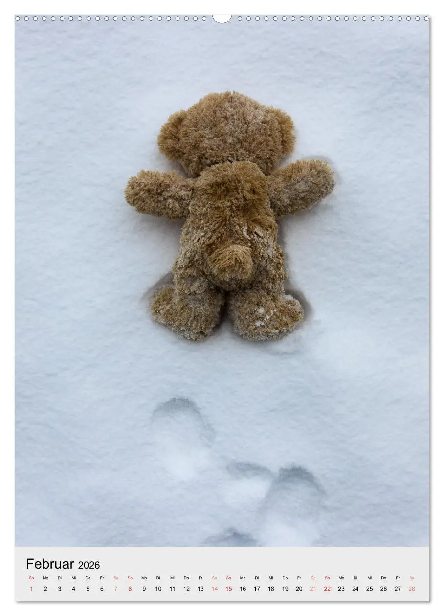 Bild: 9783516341164 | Travelling Teddy liebt es Bunt (Wandkalender 2026 DIN A2 hoch),...