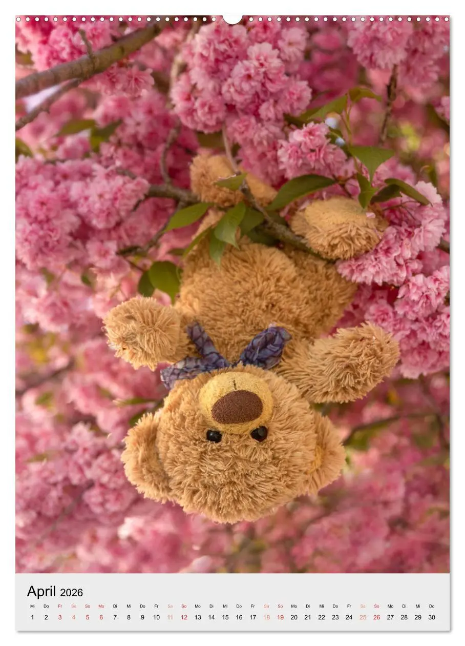 Bild: 9783516341164 | Travelling Teddy liebt es Bunt (Wandkalender 2026 DIN A2 hoch),...