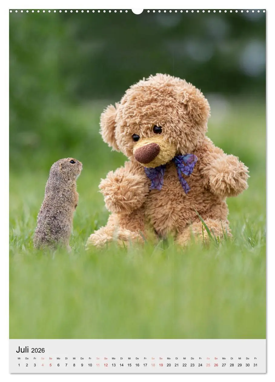 Bild: 9783516341164 | Travelling Teddy liebt es Bunt (Wandkalender 2026 DIN A2 hoch),...