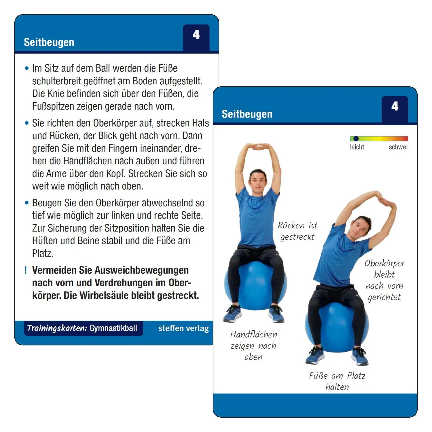 Bild: 9783957991164 | Trainingskarten: Gymball | Ronald Thomschke | Taschenbuch | 110 S.