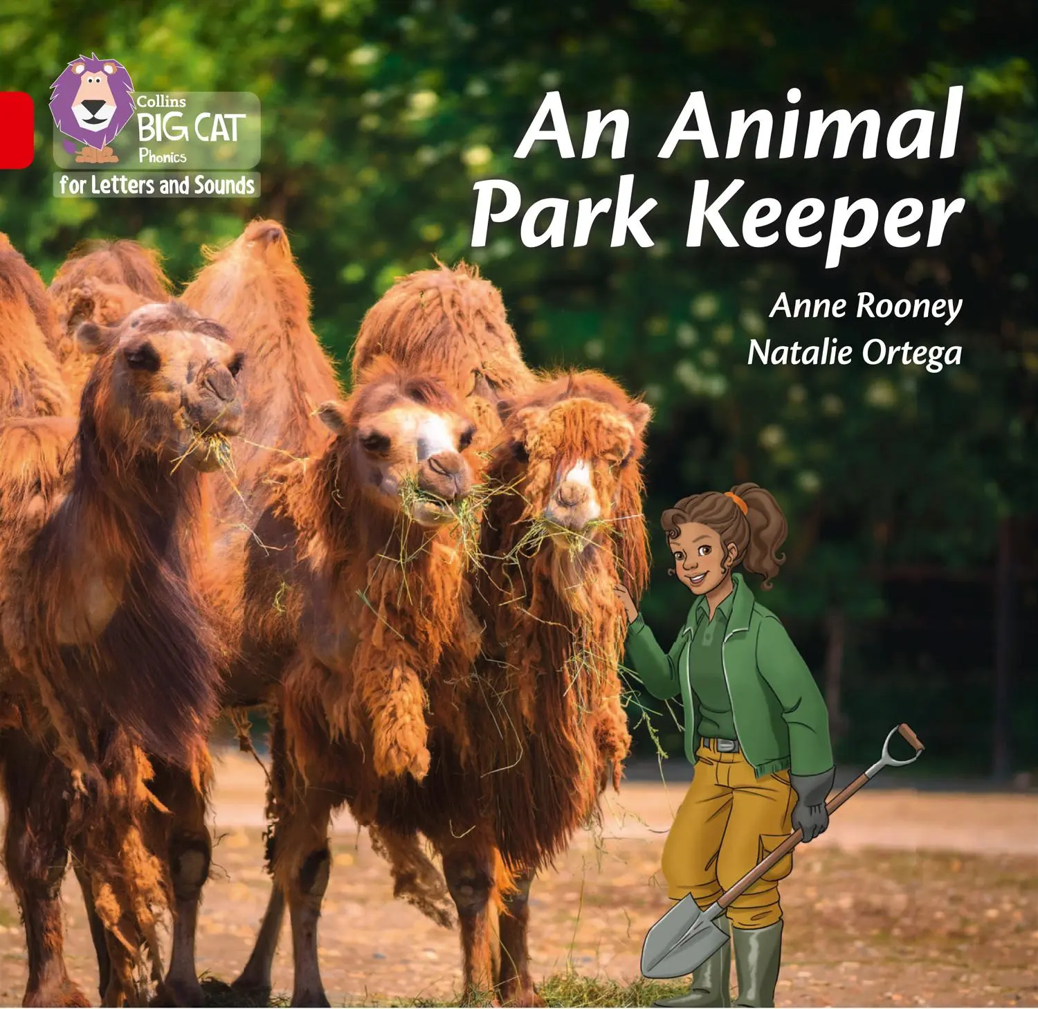 Cover: 9780008381264 | An Animal Park Keeper | Band 02b/Red B | Anne Rooney | Taschenbuch