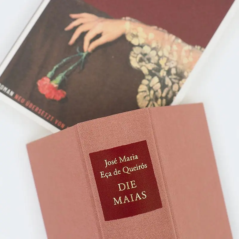 Bild: 9783446281264 | Die Maias | Episoden aus dem romantischen Leben | Queirós | Buch