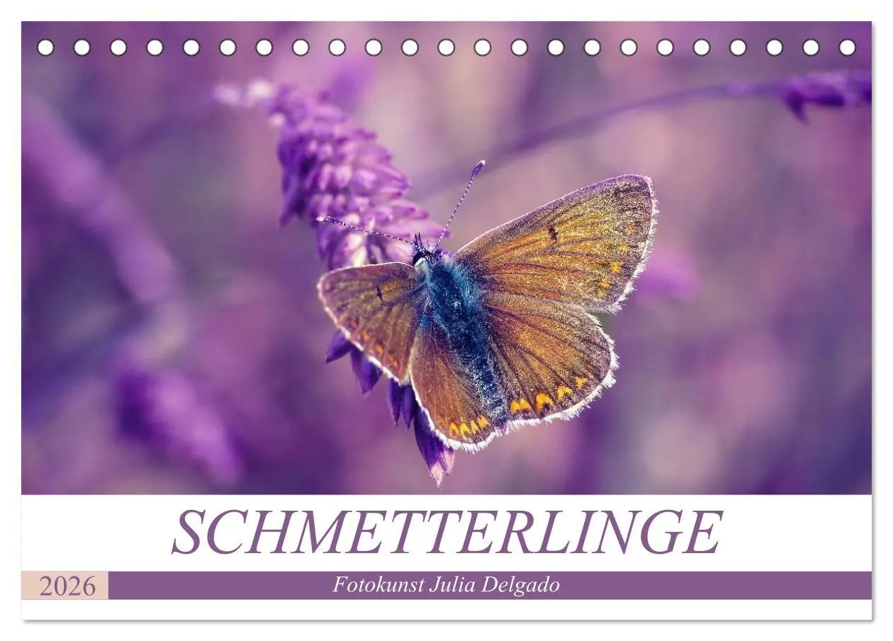 Cover: 9783457931264 | Schmetterlinge im Fokus (Tischkalender 2026 DIN A5 quer), CALVENDO...