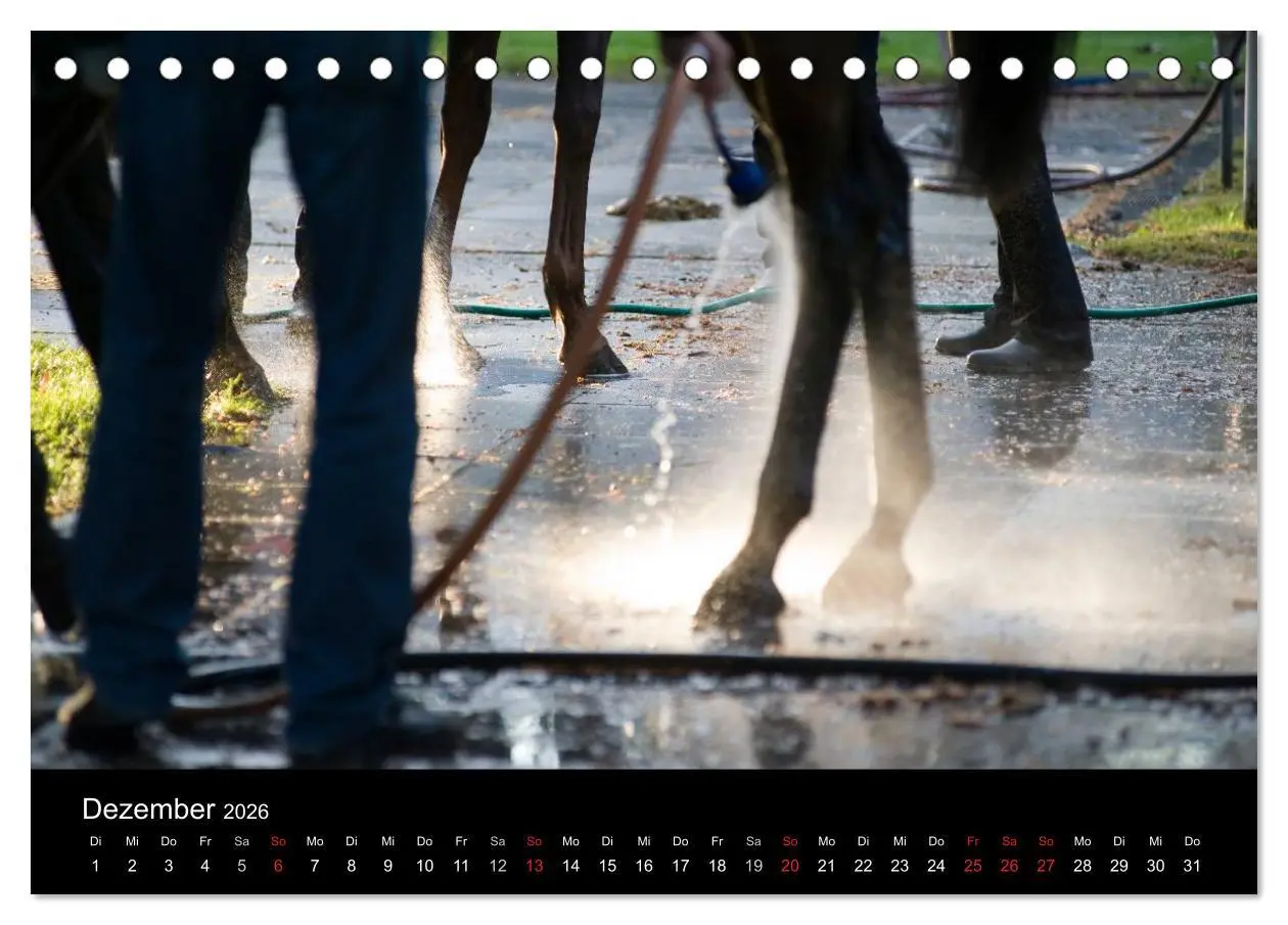 Bild: 9783516191264 | Faszination Galopprennen in Baden-Baden (Tischkalender 2026 DIN A5...