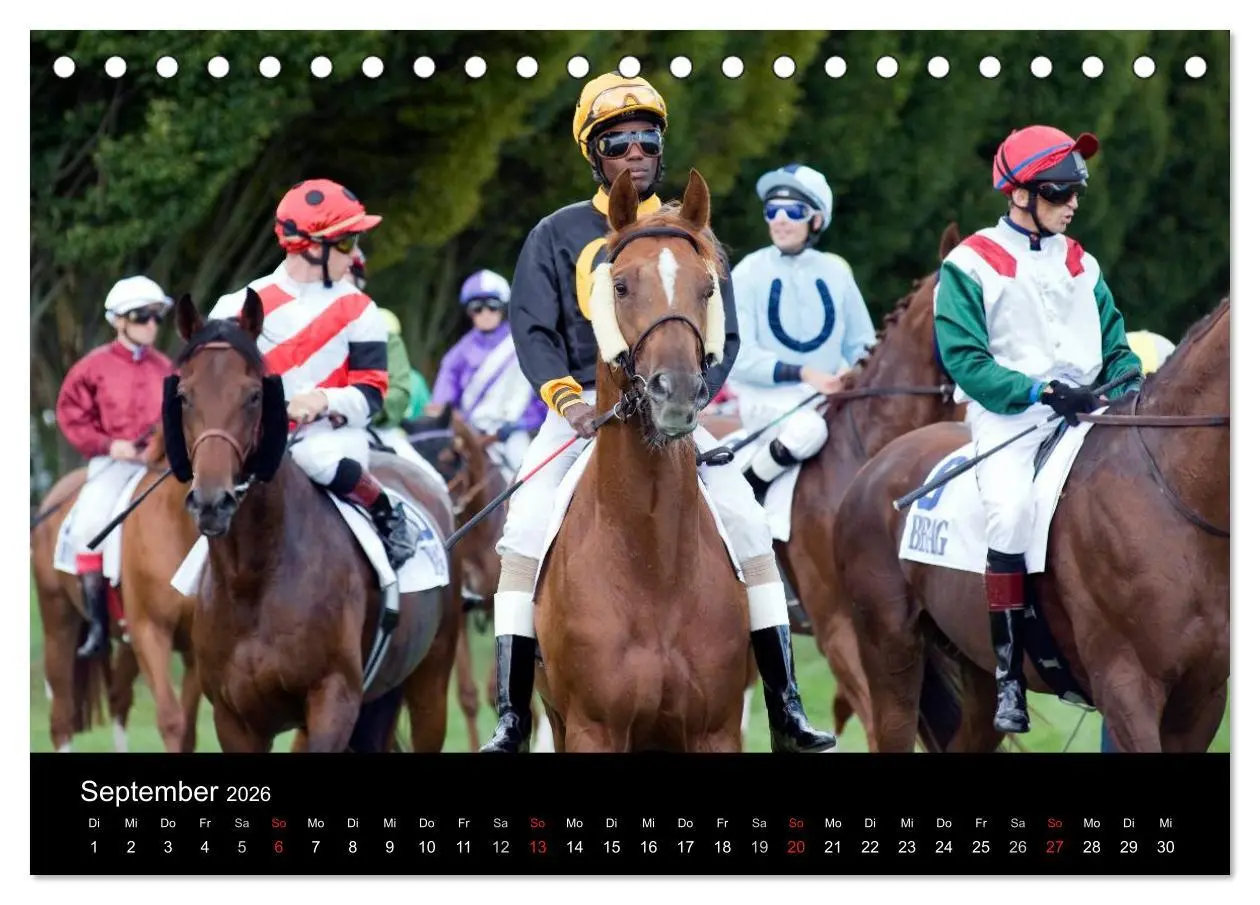 Bild: 9783516191264 | Faszination Galopprennen in Baden-Baden (Tischkalender 2026 DIN A5...