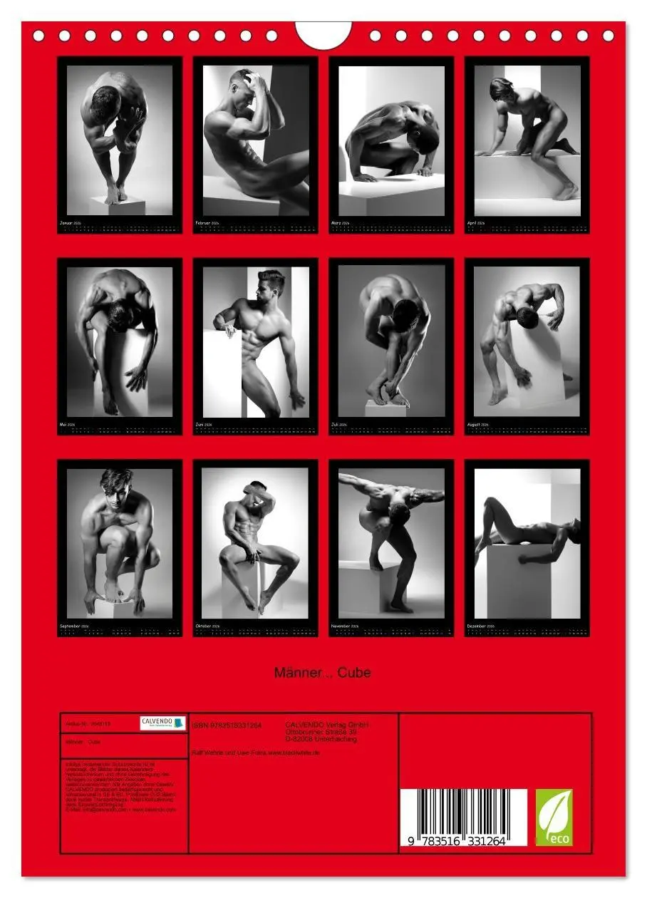 Bild: 9783516331264 | Männer... Cube (Wandkalender 2026 DIN A4 hoch), CALVENDO...