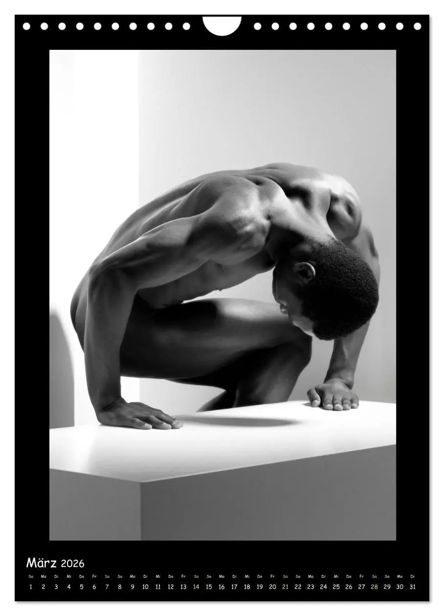 Bild: 9783516331264 | Männer... Cube (Wandkalender 2026 DIN A4 hoch), CALVENDO...