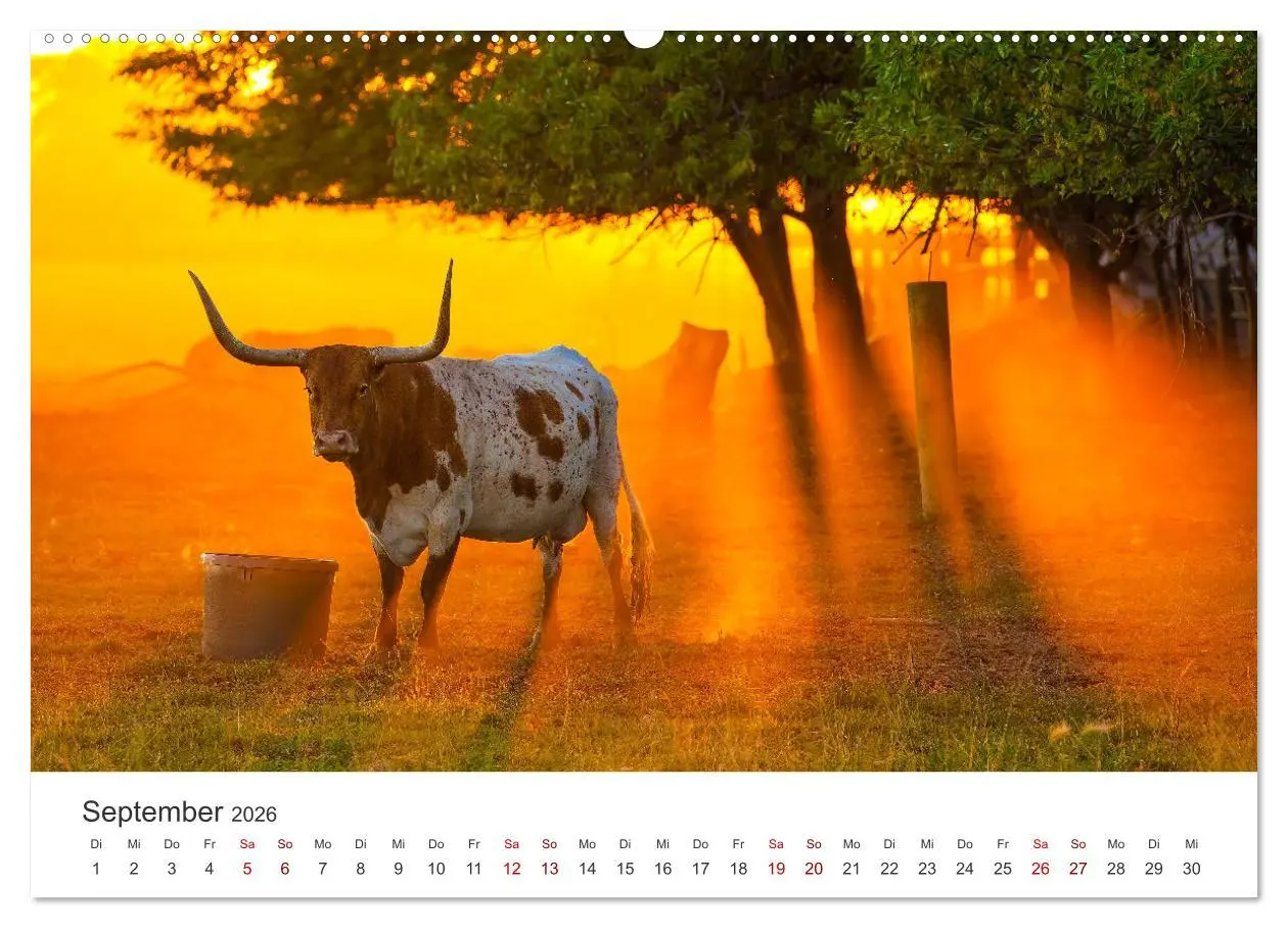 Bild: 9783457541364 | Texas - Howdy aus dem Lone Star State! (Wandkalender 2026 DIN A2...