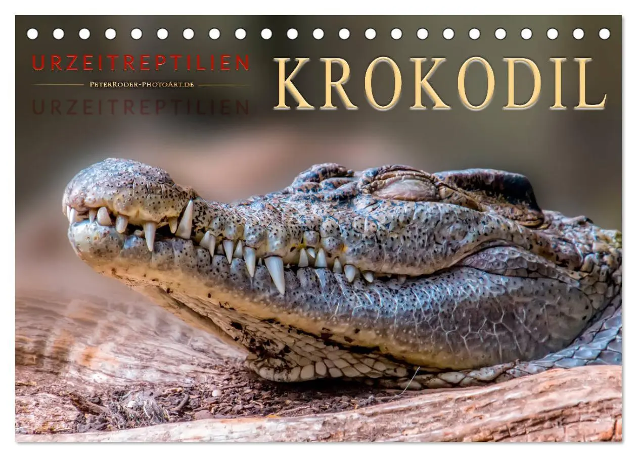 Cover: 9783457851364 | Urzeitreptilien - Krokodil (Tischkalender 2026 DIN A5 quer),...