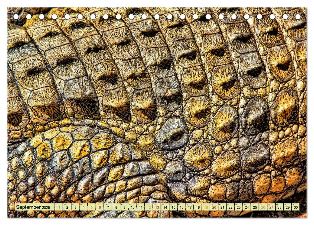 Bild: 9783457851364 | Urzeitreptilien - Krokodil (Tischkalender 2026 DIN A5 quer),...