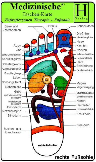 Cover: 9783939081364 | Fussreflexzonen Therapie - Fusssohle- Medizinische Taschen-Karte