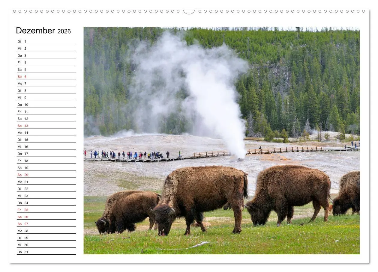 Bild: 9783516001464 | Der nordamerikanische Bison (Wandkalender 2026 DIN A2 quer),...