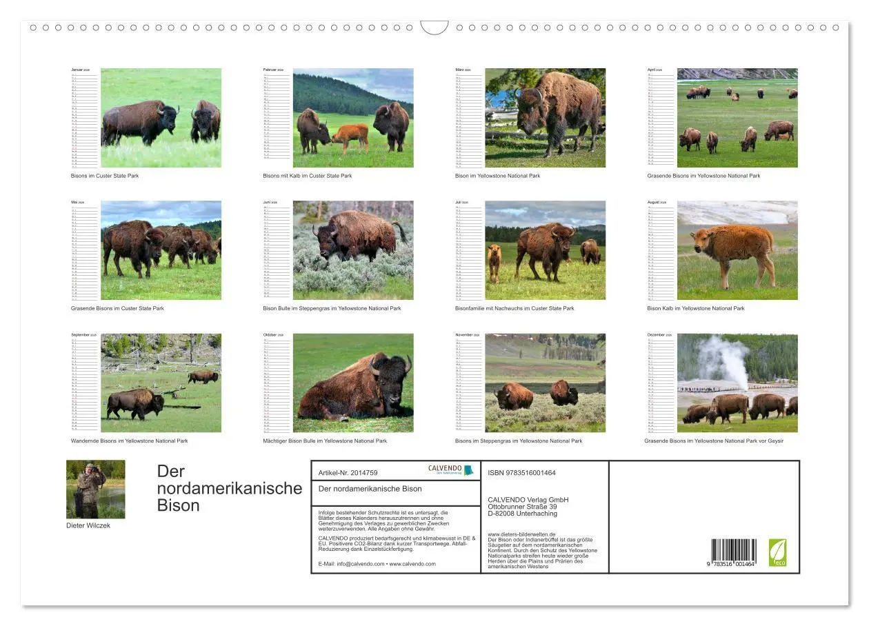Bild: 9783516001464 | Der nordamerikanische Bison (Wandkalender 2026 DIN A2 quer),...