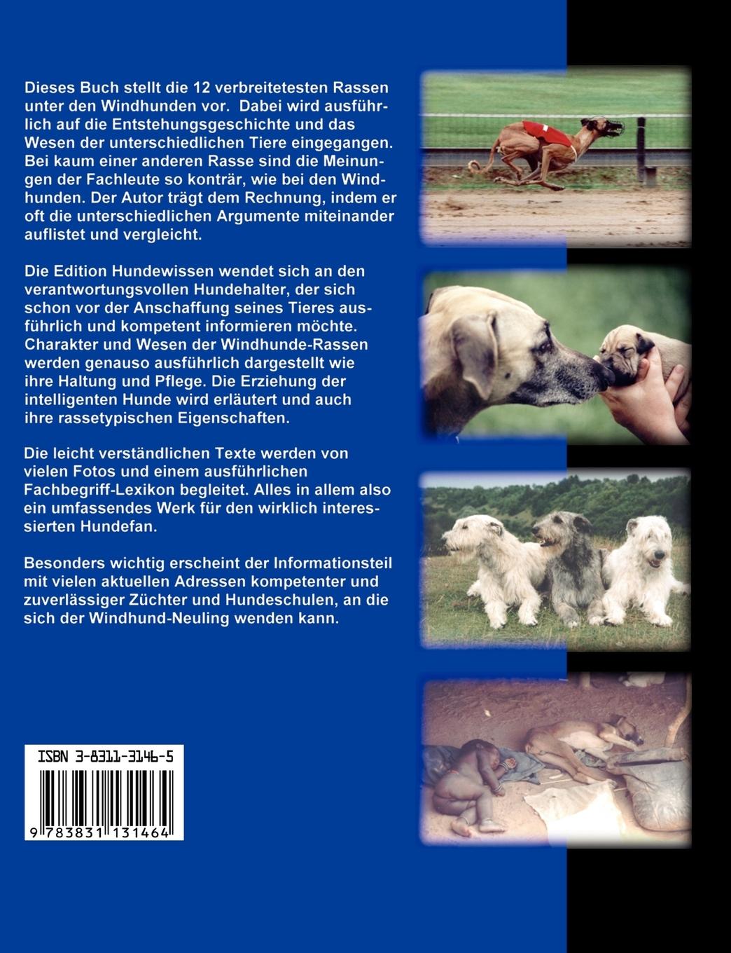 Rückseite: 9783831131464 | Windhunde - Ein Portrait 12 anerkannter Rassen | Dirk Glebe | Buch
